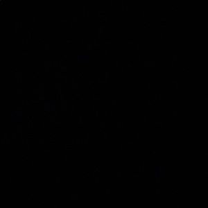 Meet your Posher, Jeffrey